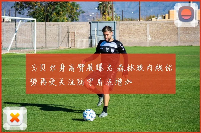 戈贝尔身高臂展曝光 森林狼内线优势再受关注防守看点增加