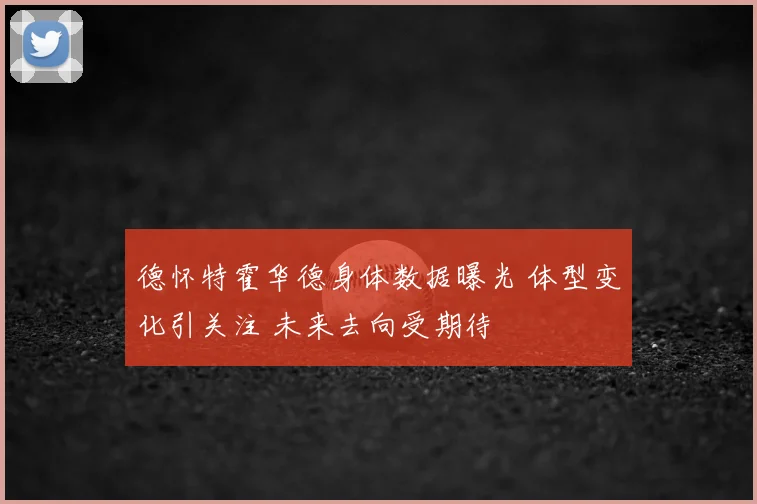 德怀特霍华德身体数据曝光 体型变化引关注 未来去向受期待